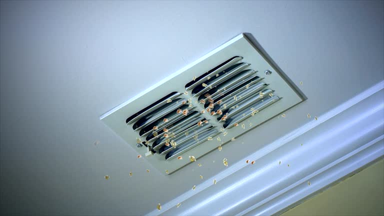 Best Best Air Duct Cleaning Company  in Lewiston, ID